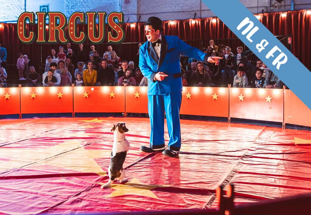 Circusshow